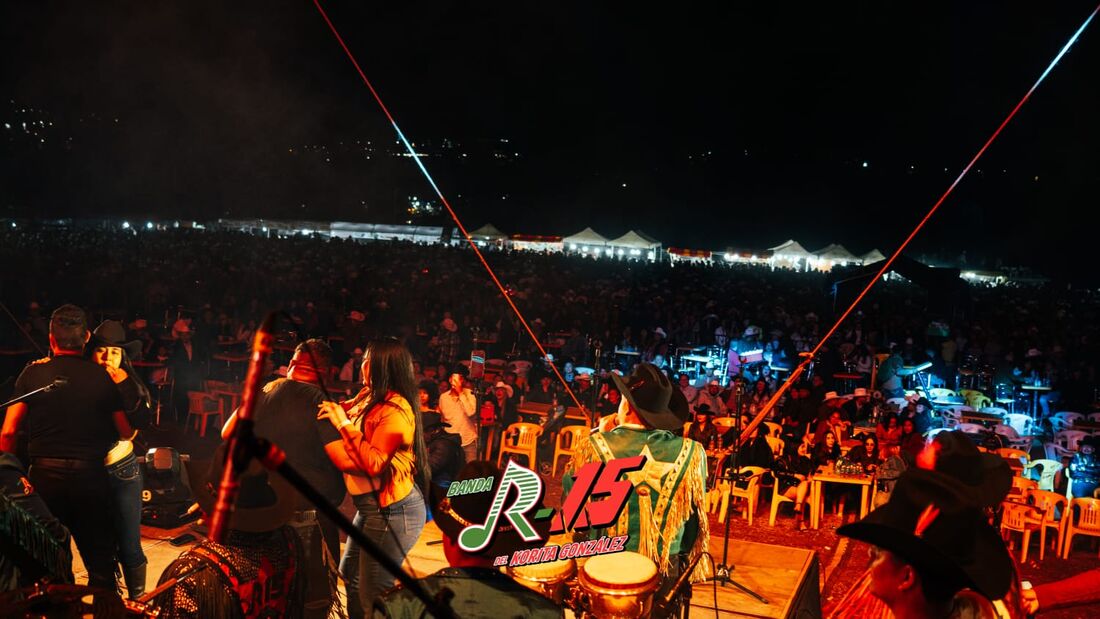 El p&uacute;blico visto desde el escenario durante un show de la Banda R-15